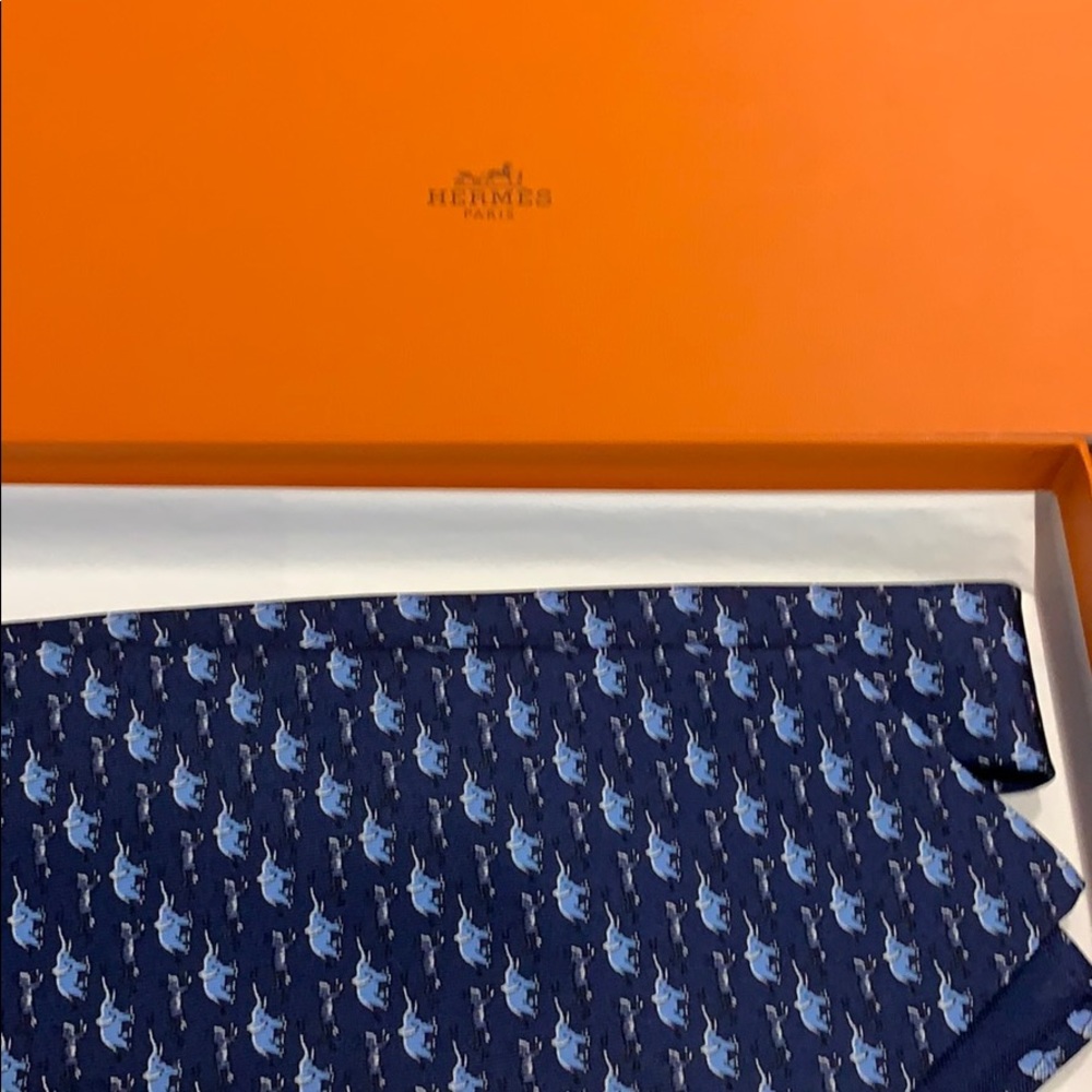 Hermès tie (new)